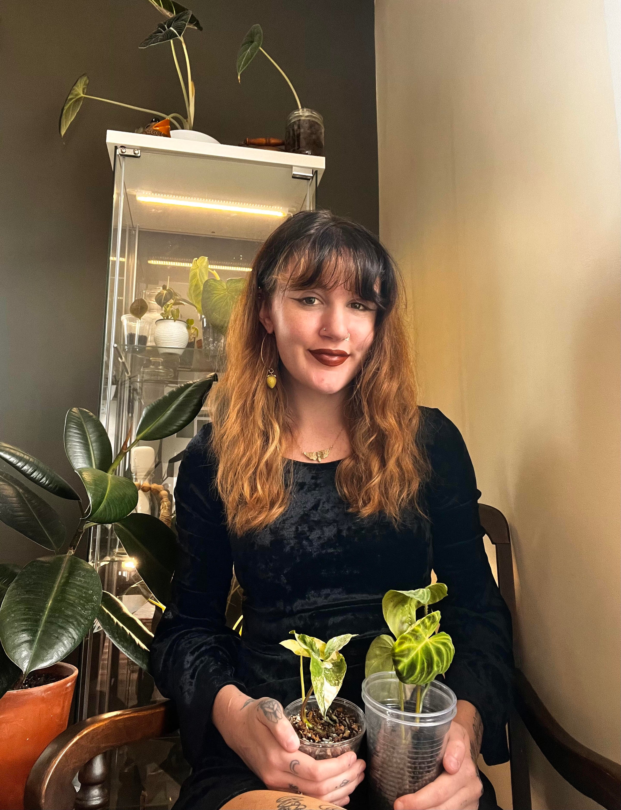 Plant Parent of the Month | Lepley & Co. LLC